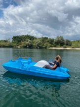 shared image (12) shared image (12)